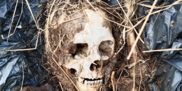 Hallan más restos humanos en Reynosa