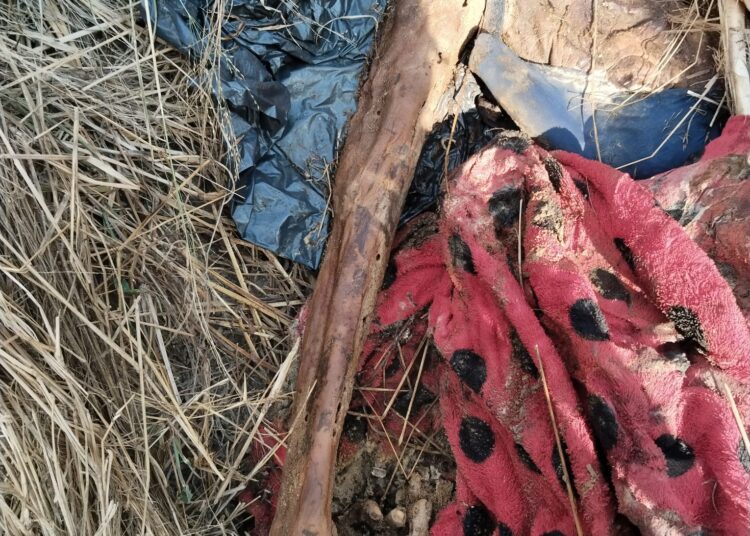 Hallan más restos humanos en Reynosa