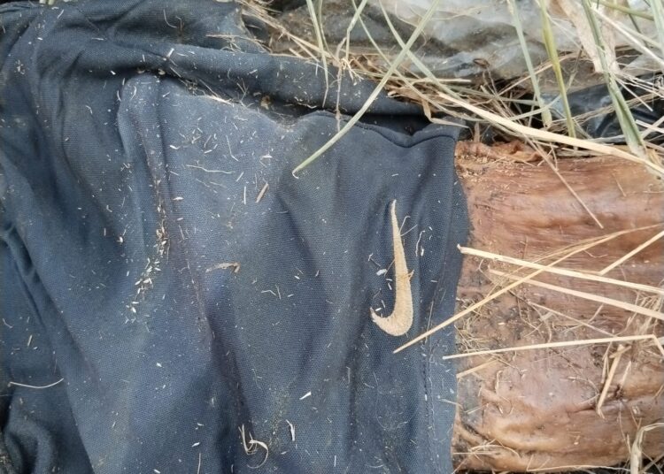 Hallan más restos humanos en Reynosa