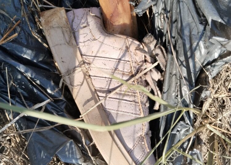 Hallan más restos humanos en Reynosa