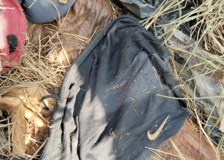 Hallan más restos humanos en Reynosa