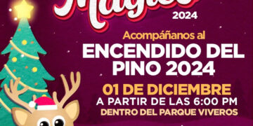 NLD encenderá su pino navideño en el Viveros