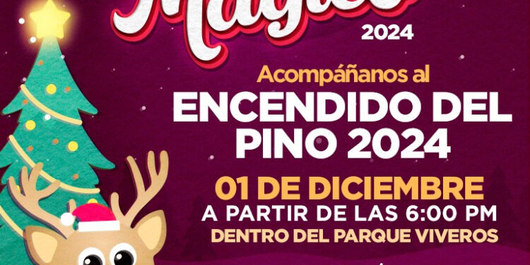 NLD encenderá su pino navideño en el Viveros