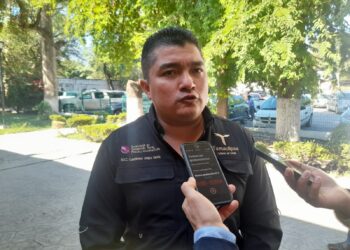 Descartan brote de gusano barrenador en Tamaulipas