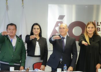 Mónica Villarreal va a la Mesa Directiva de ICLEI