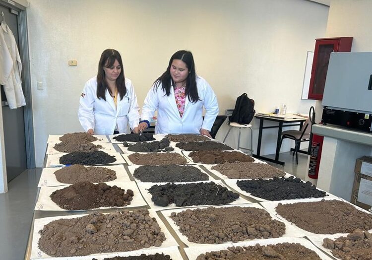 Analiza estudiante de la UAT la presencia de metales pesados en suelos de cultivo citrícola