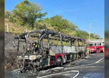 Incendió autobús turístico procedente de Tamaulipas, en autopista Veracruz-Cardel