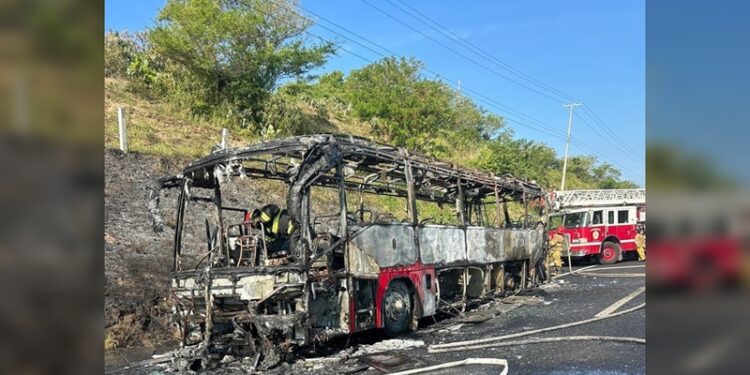Incendió autobús turístico procedente de Tamaulipas, en autopista Veracruz-Cardel