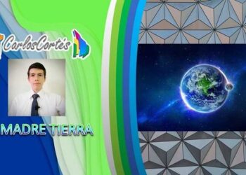 Delfines y Tiburones, positivos en cocaína y fentanilo