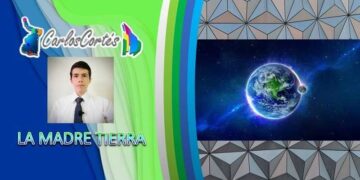 Delfines y Tiburones, positivos en cocaína y fentanilo