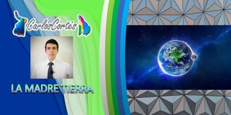 Delfines y Tiburones, positivos en cocaína y fentanilo