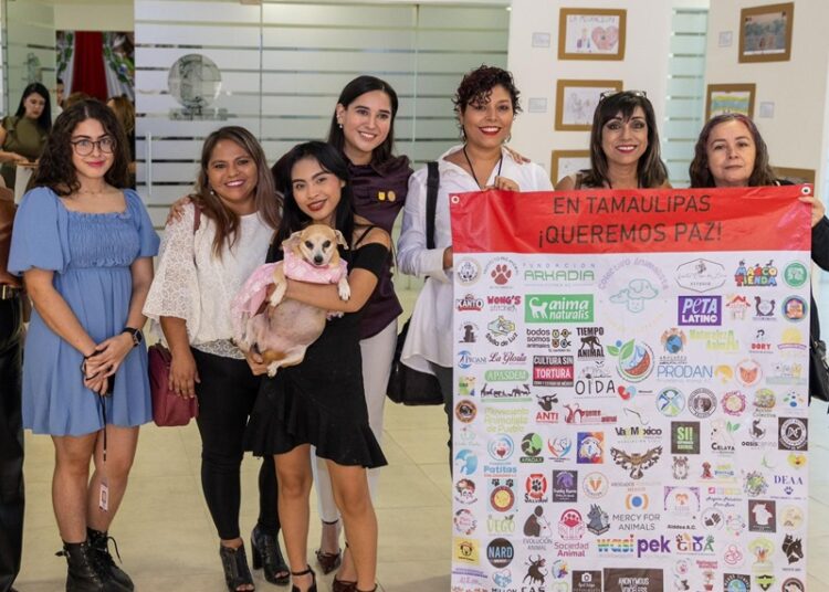 Diputada Katalyna va por la prohibición de corridas de toro en Tamaulipas