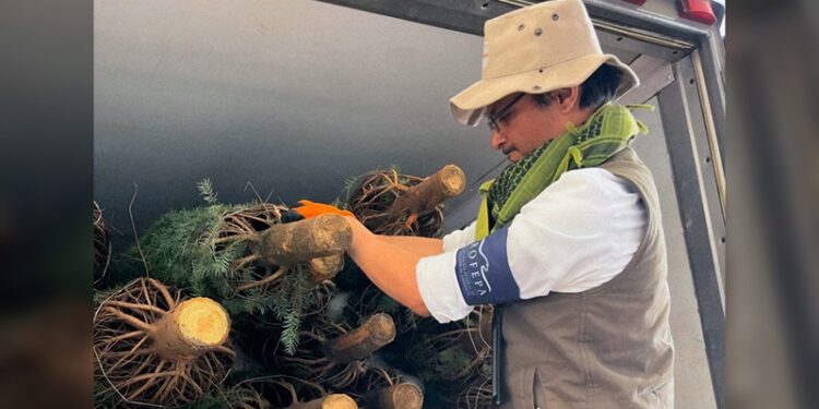 Finalizó Profepa inspección de árboles importados por NLD y Reynosa