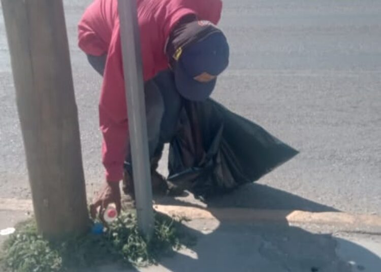 Fortalecen acciones de limpieza en Tampico