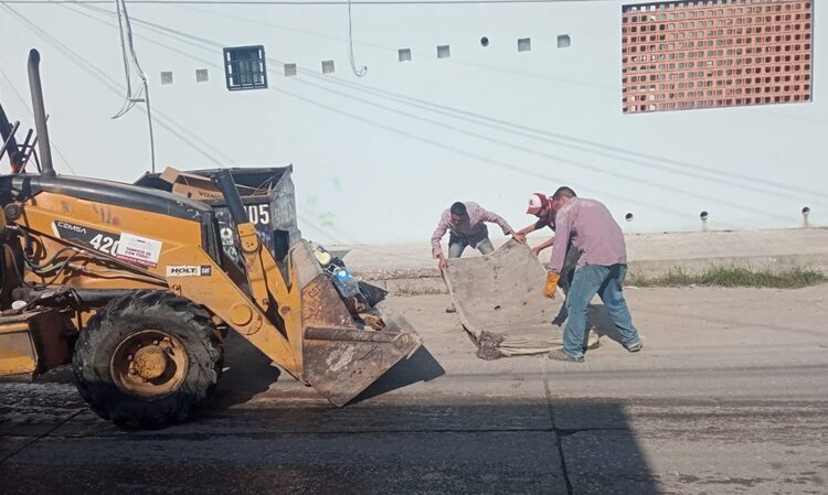 Fortalecen acciones de limpieza en Tampico