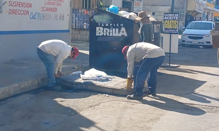 Fortalecen acciones de limpieza en Tampico