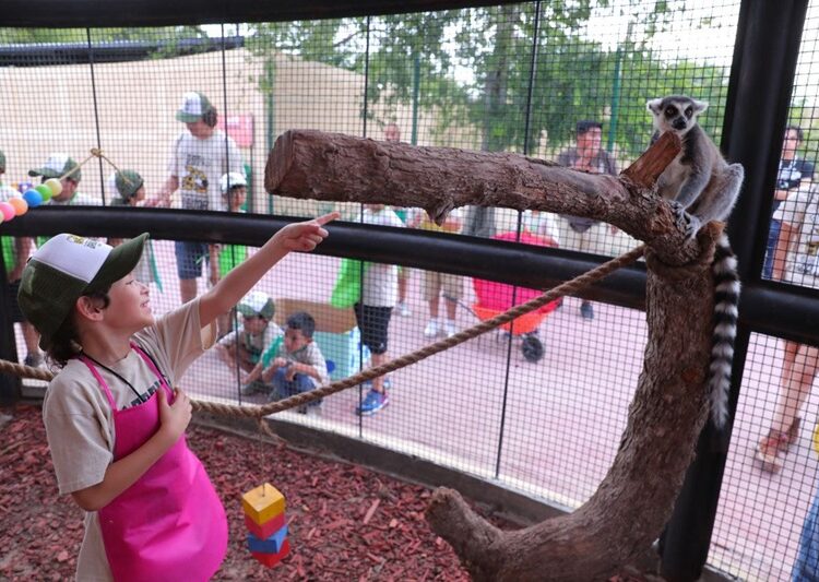 Gobierno de NLD invita a ciudadanos a aprender y disfrutar del Zoo