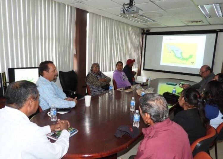 UAT imparte en San Fernando taller especializado en monitoreo de aves migratorias