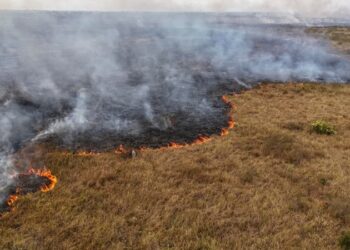 “Clima extremo nos está enfermando”: OMS