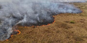 “Clima extremo nos está enfermando”: OMS