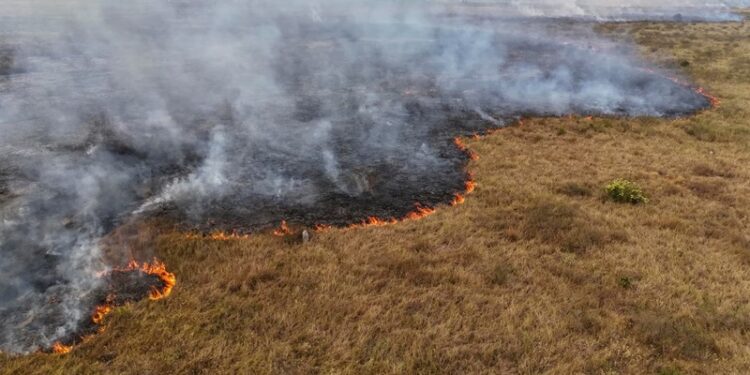 “Clima extremo nos está enfermando”: OMS