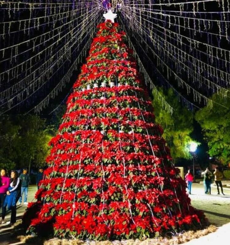 Celebra el SUTPET peregrinación
