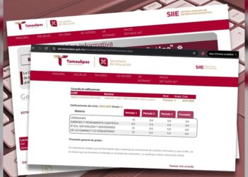 Ofrece SET consulta de calificaciones de educación básica en línea