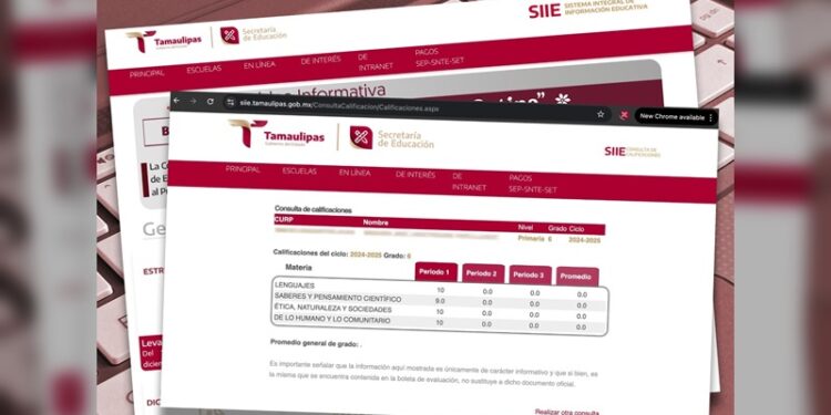 Ofrece SET consulta de calificaciones de educación básica en línea