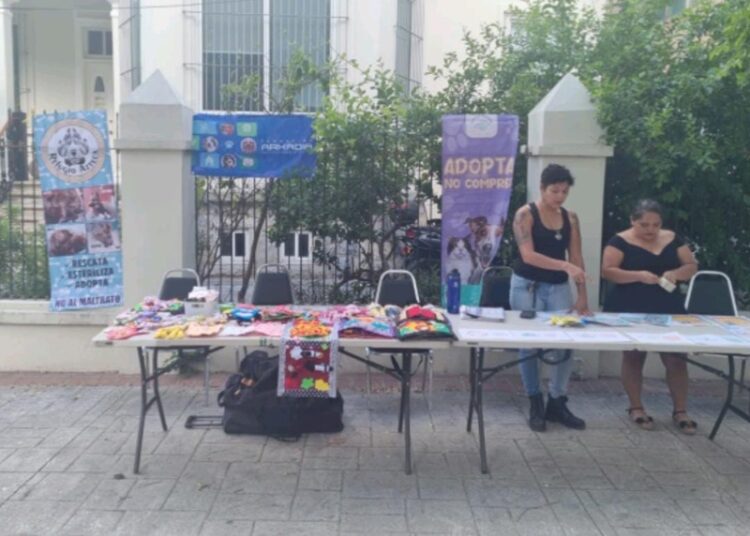 Promueve Municipio de Victoria protección animal