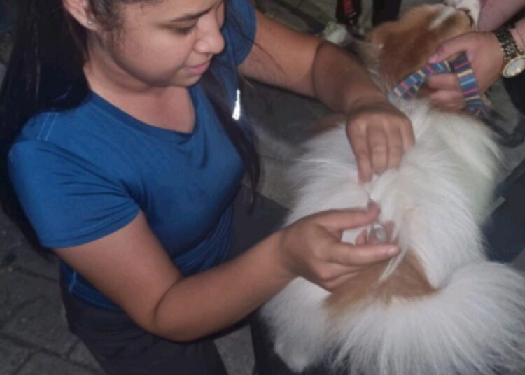 Promueve Municipio de Victoria protección animal