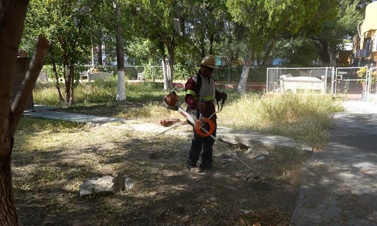 Resuelve servicios públicos primarios más de 96% de reportes ciudadanos