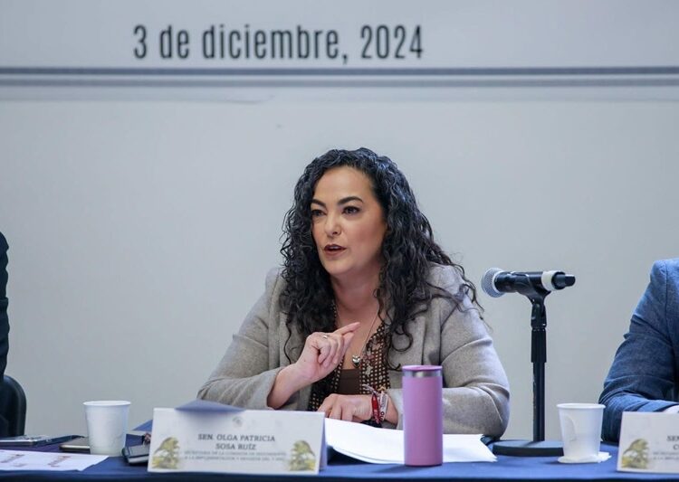 Transportistas y sector automotriz, respaldado por el Senado