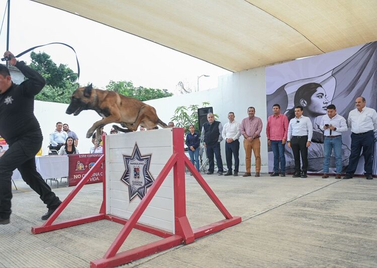 Un éxito primera Jornada por la Paz en Victoria
