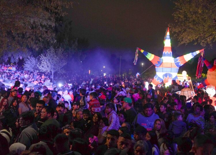 Encienden árbol de navidad en Viveros Mágico de NLD