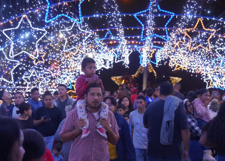 Encienden árbol de navidad en Viveros Mágico de NLD