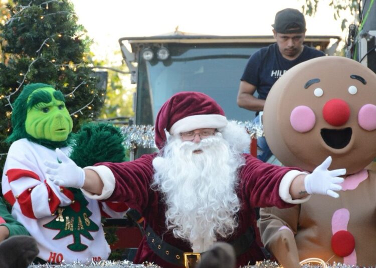 Américo y María encienden monumental pino navideño