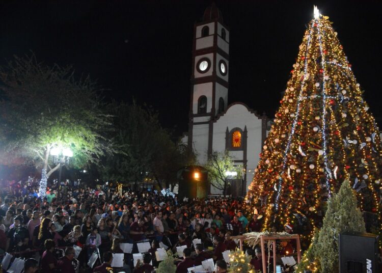 Américo y María encienden monumental pino navideño
