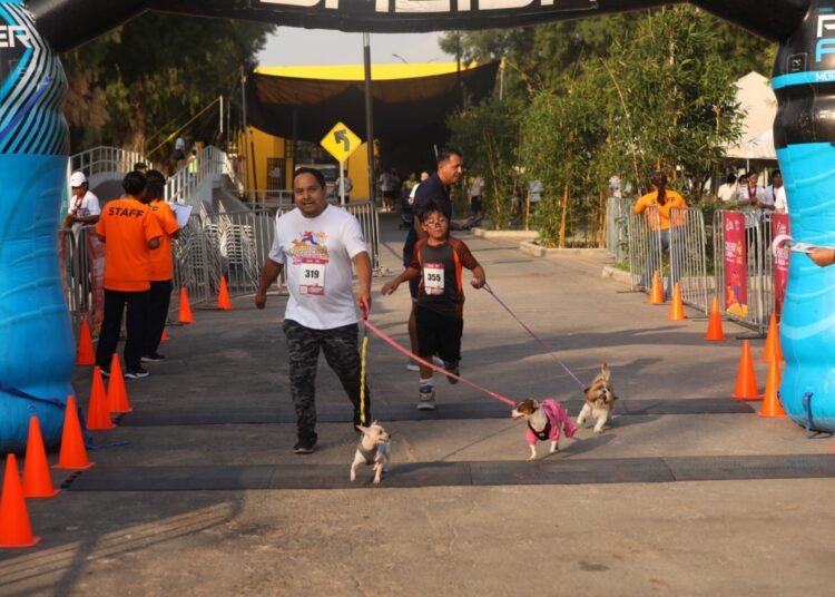 Cientos de ciudadanos de NLD en favor de animales en situación de calle