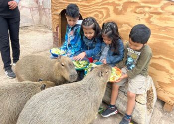 Zoológico, acuario y alberca gratis en el Parque Viveros