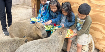Zoológico, acuario y alberca gratis en el Parque Viveros