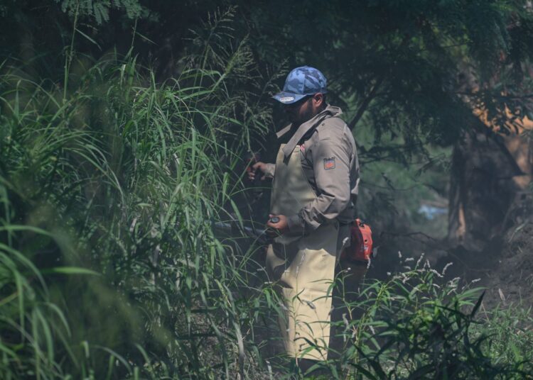 Limpia Victoria 37 kilómetros de drenes pluviales