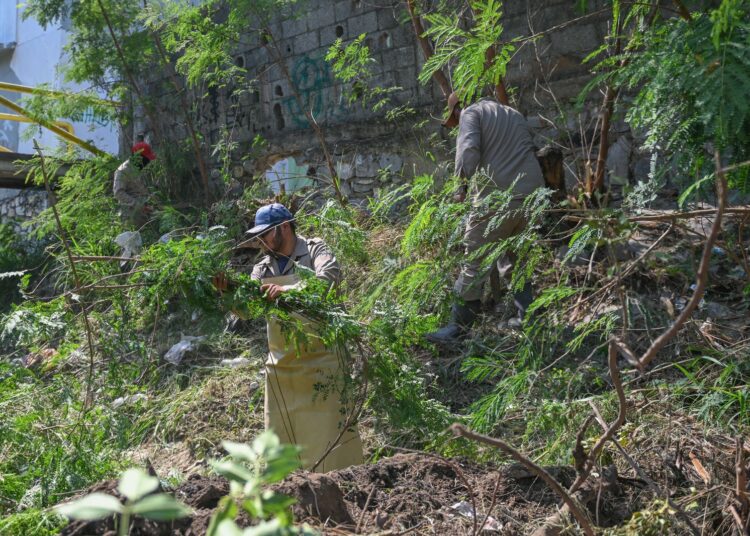 Limpia Victoria 37 kilómetros de drenes pluviales
