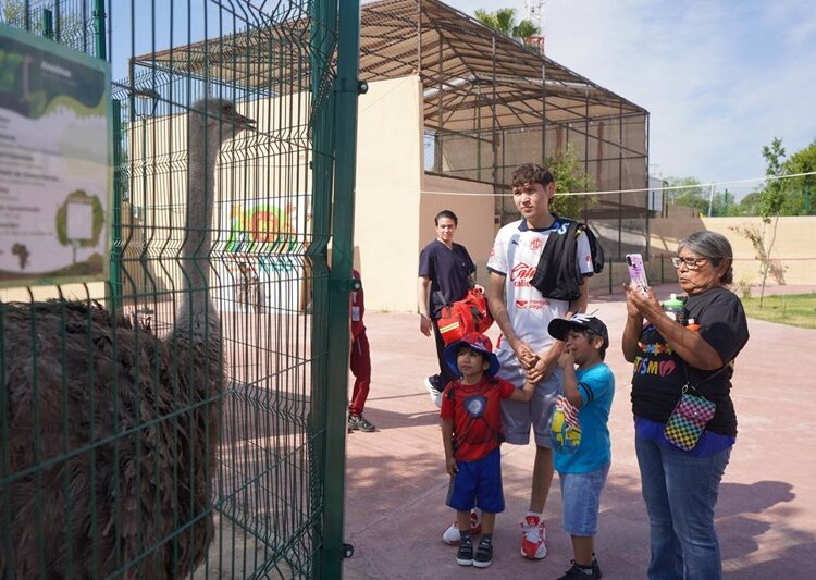 “Amor, inclusión y conciencia”: DIF organiza emotiva jornada por el Día del Autismo