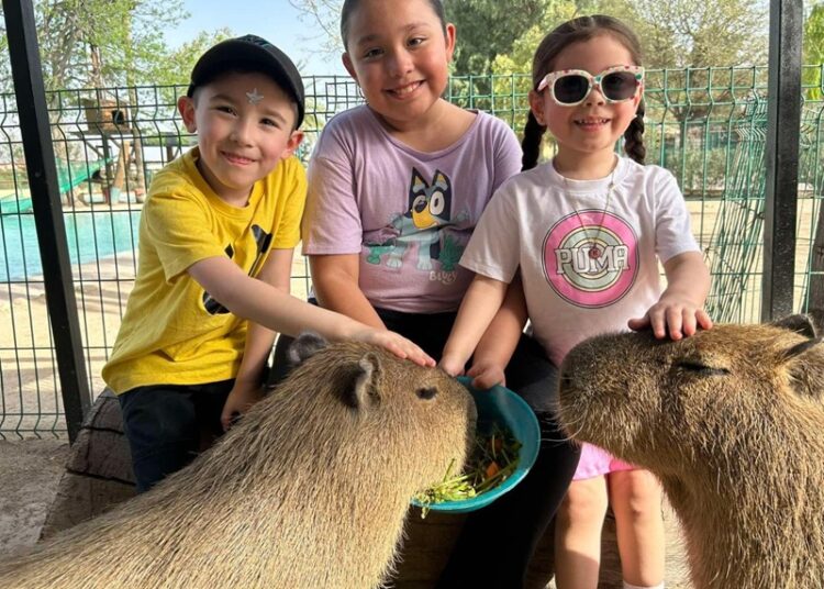 Ampliarán horarios de Zoológico de NLD por Semana Santa