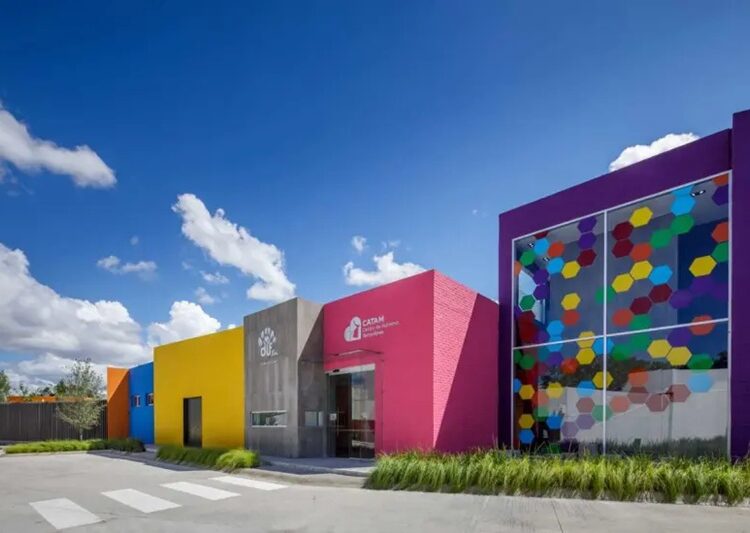 Atención en Autismo en Tamaulipas ¿Qué se ha logrado?