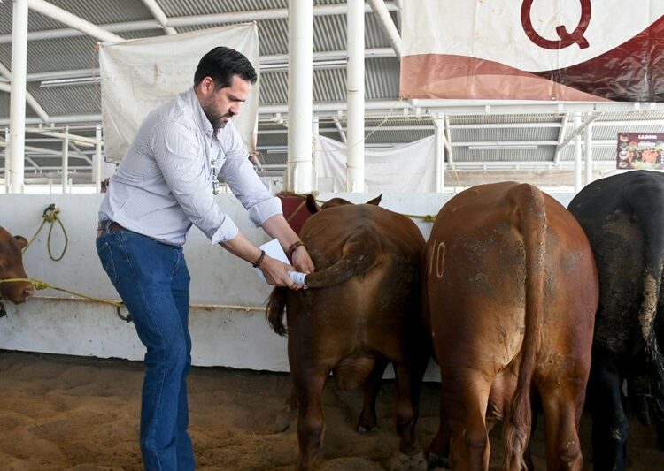 Destina Gobierno de Tamaulipas 19 mdp para mejoramiento genético