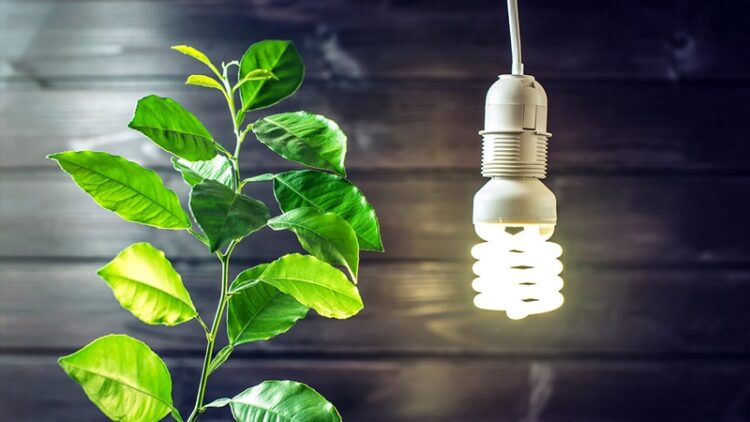 22 de abril, ‘Día de la Tierra’ 2025