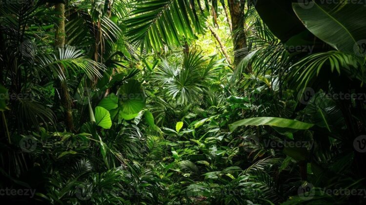 22 de abril, ‘Día de la Tierra’ 2025