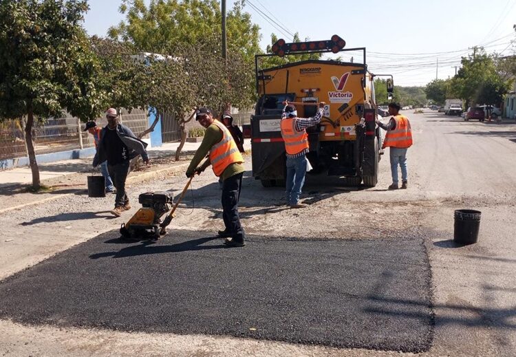 Impulsan extensionismo forestal en apoyo a productores tamaulipecos