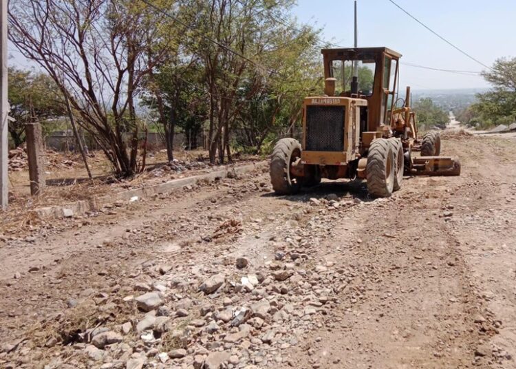 Impulsan extensionismo forestal en apoyo a productores tamaulipecos